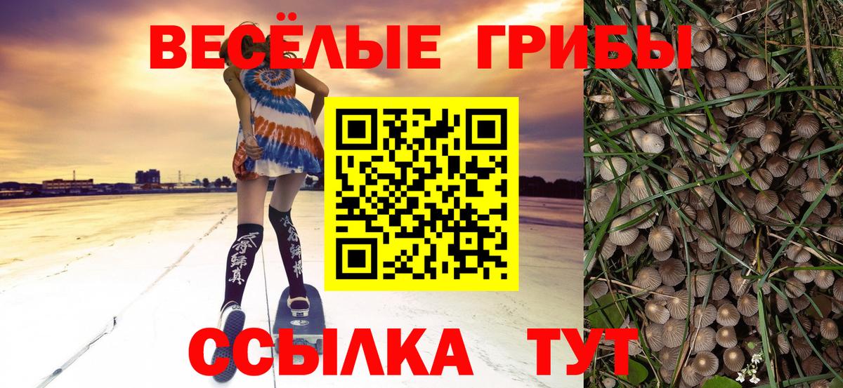 Псилоцибиновые грибы ЛСД  Вход с VPN  Галлюциногенные грибы GOLDEN TEACHER  Севастополь 